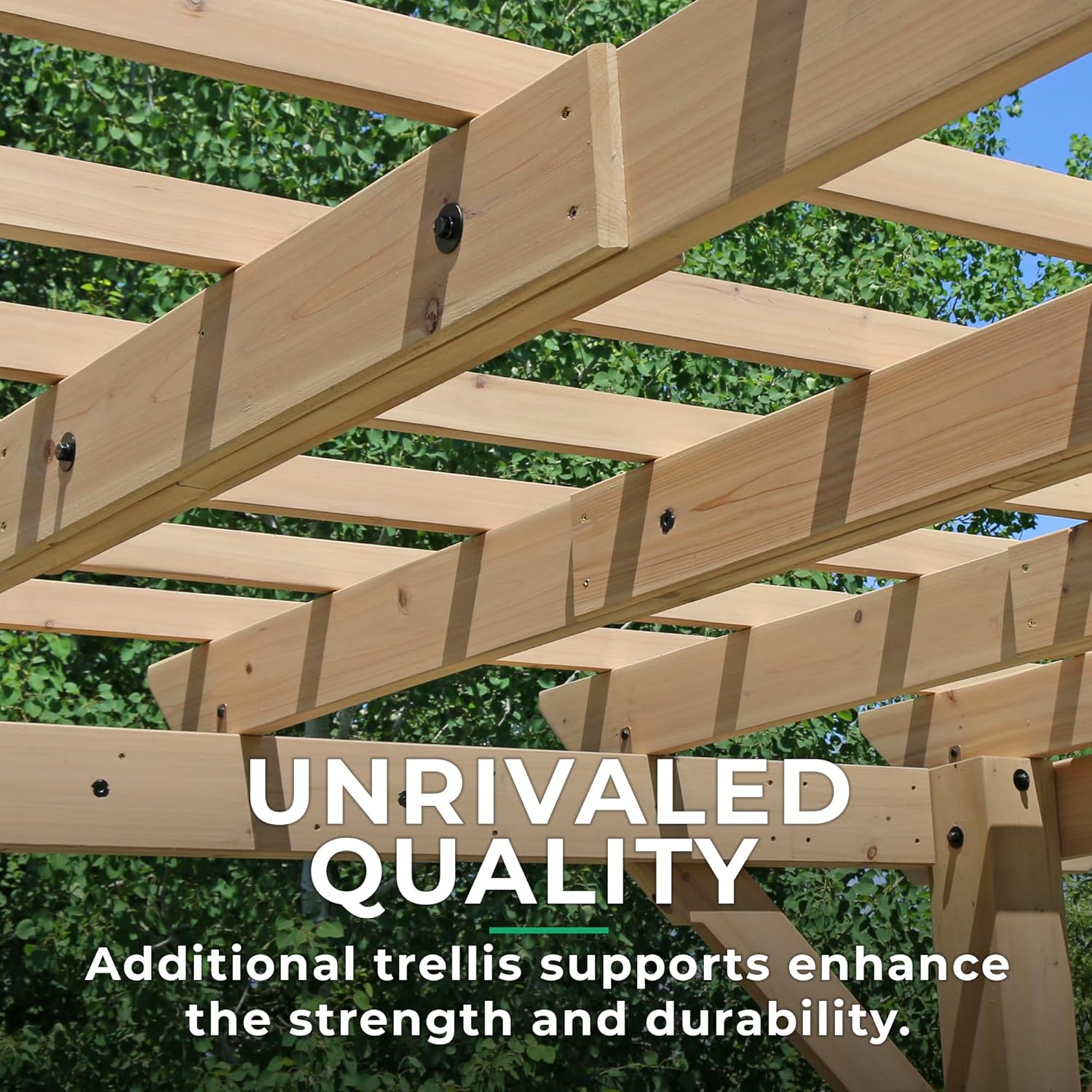 81ICJlx-SlL._AC_SL1500_